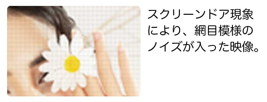 スクリーンドア現象